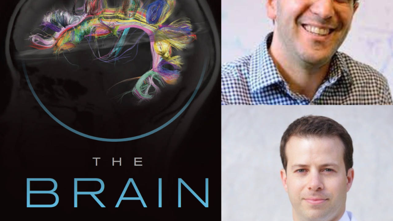 thebraininitiative.png?itok=