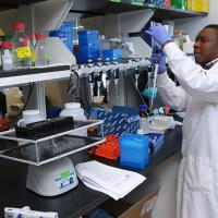 Researcher conducting tests in a lab
