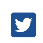 Twitter Icon
